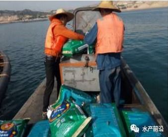 高原三文鱼养殖利器 HACCP认证与10.8%脏体比的背后