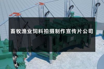 赋能现代畜牧渔业 专业饲料拍摄与宣传片制作公司的重要性