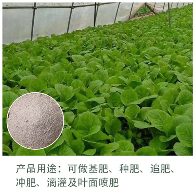 生物肥与饲料肥料 现代农业畜牧渔业发展的绿色动力