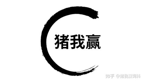 猪我赢饲料模式 高效养殖，助力畜牧业高质量发展