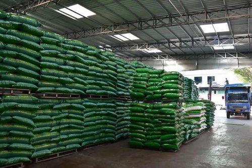 全国首家牛蛙料破十万吨 今年牛蛙料挑战15万吨 潮汕本土老牌料企的决心与底气